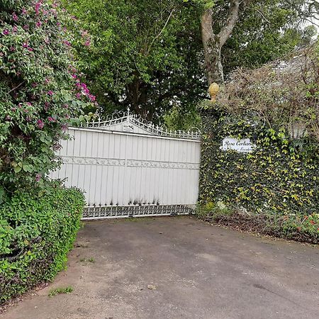 Rosa Cortiana Escalera Διαμέρισμα São Gabriel Εξωτερικό φωτογραφία